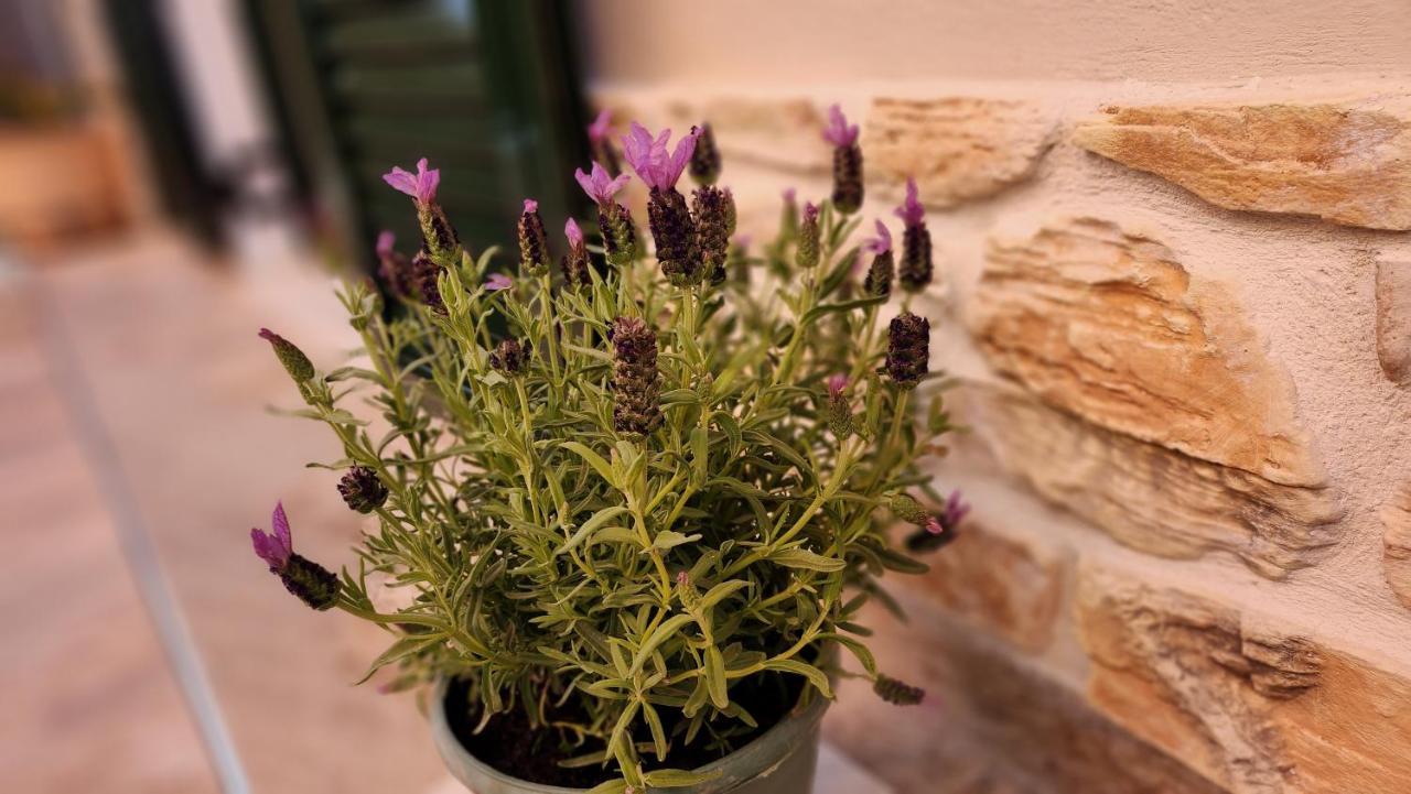 Appartement Pieri House Corfu
