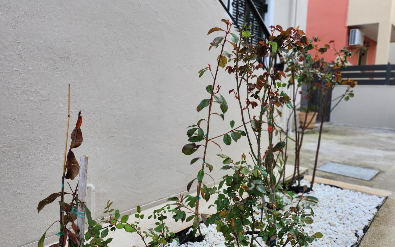 Appartement Pieri House Corfu *